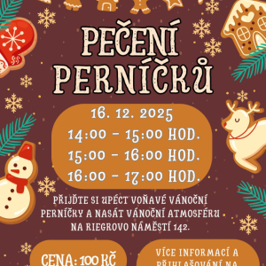 PEČENÍ VÁNOČNÍCH PERNÍČKŮ I